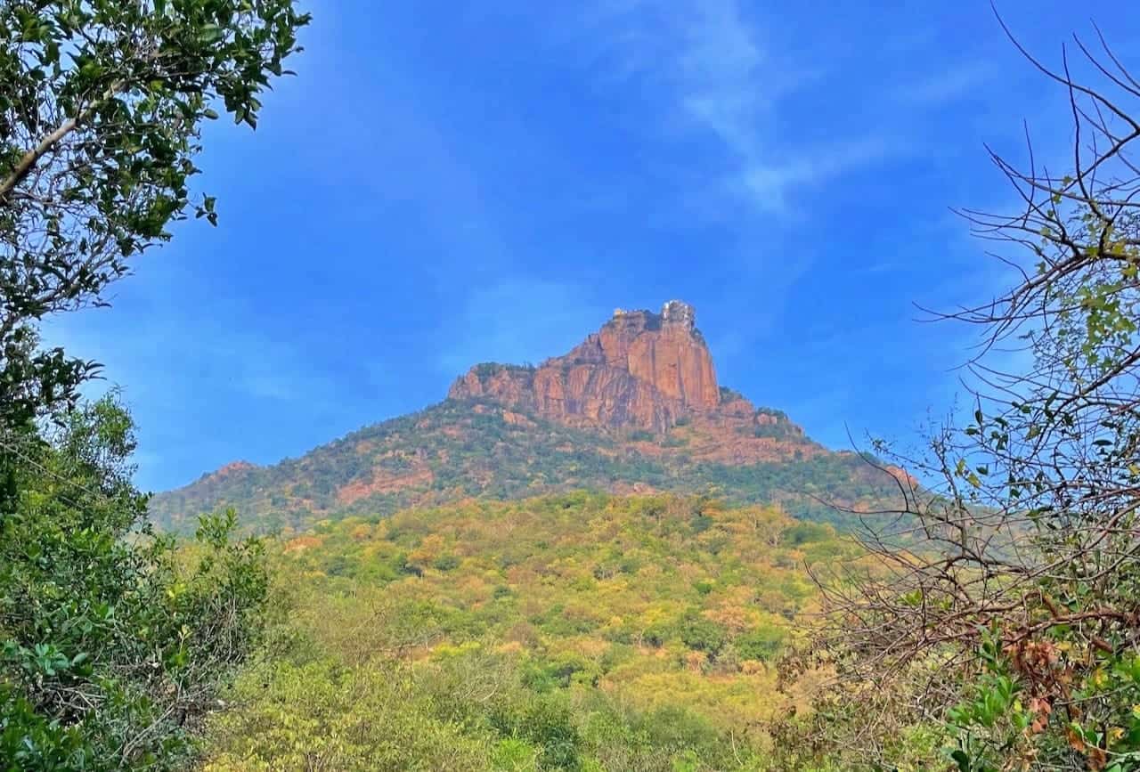 Parvathamalai Trek