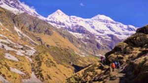 Pindari Glacier Trek