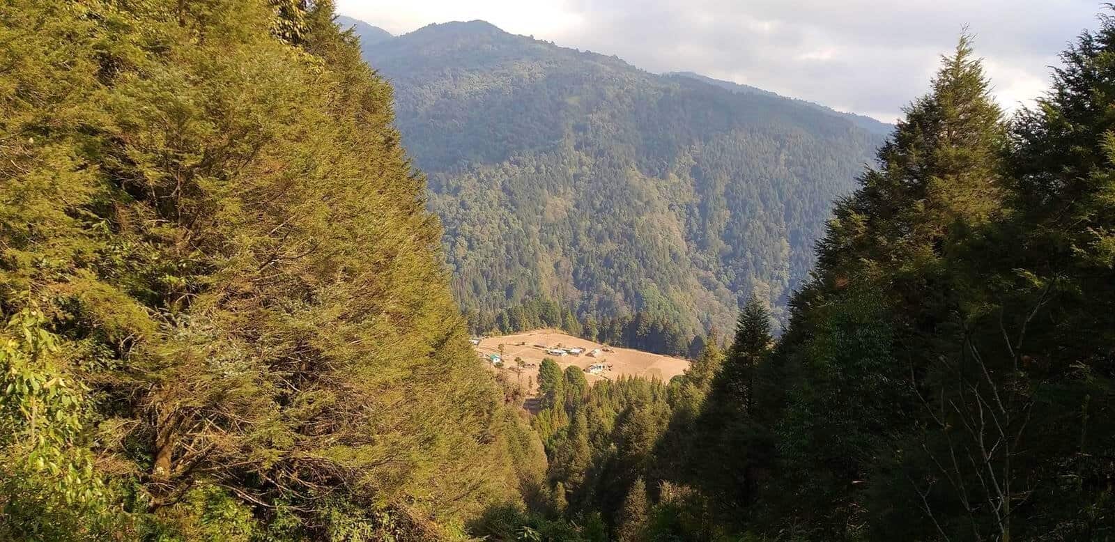 Sandakphu Phalut Trek