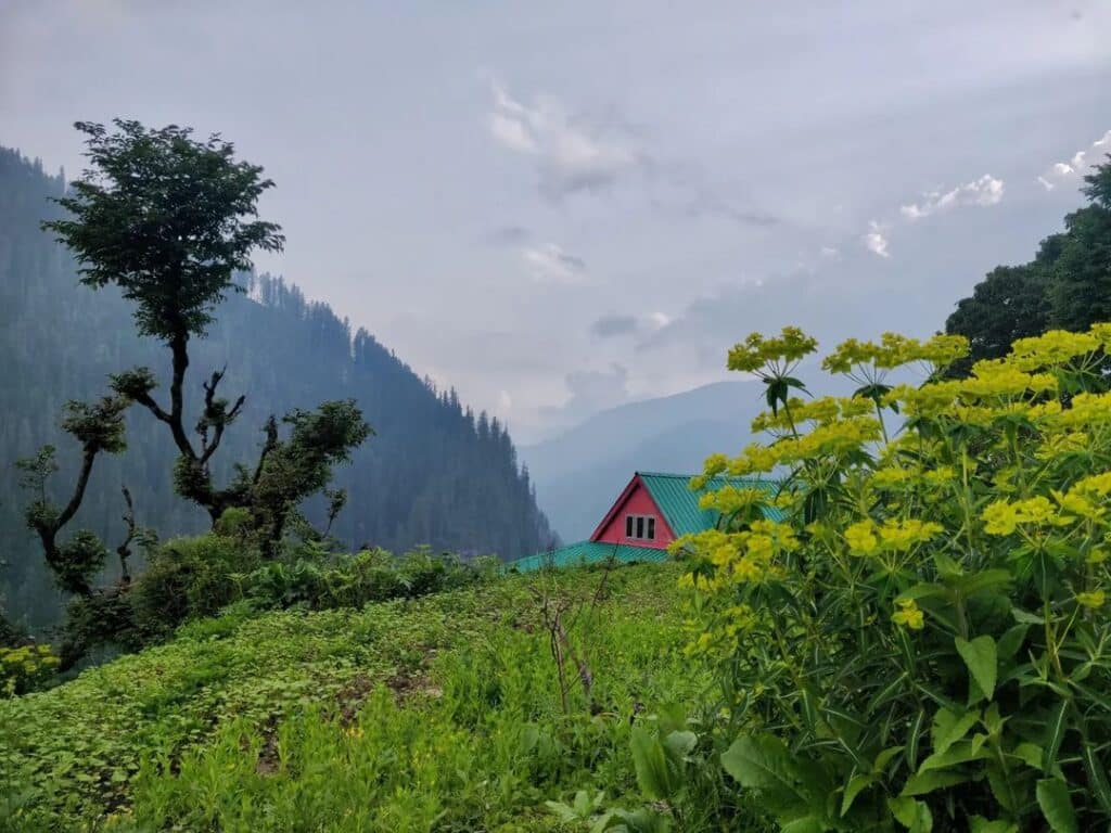 17 Best Treks to do this Summer in the Himalayas (May, June)