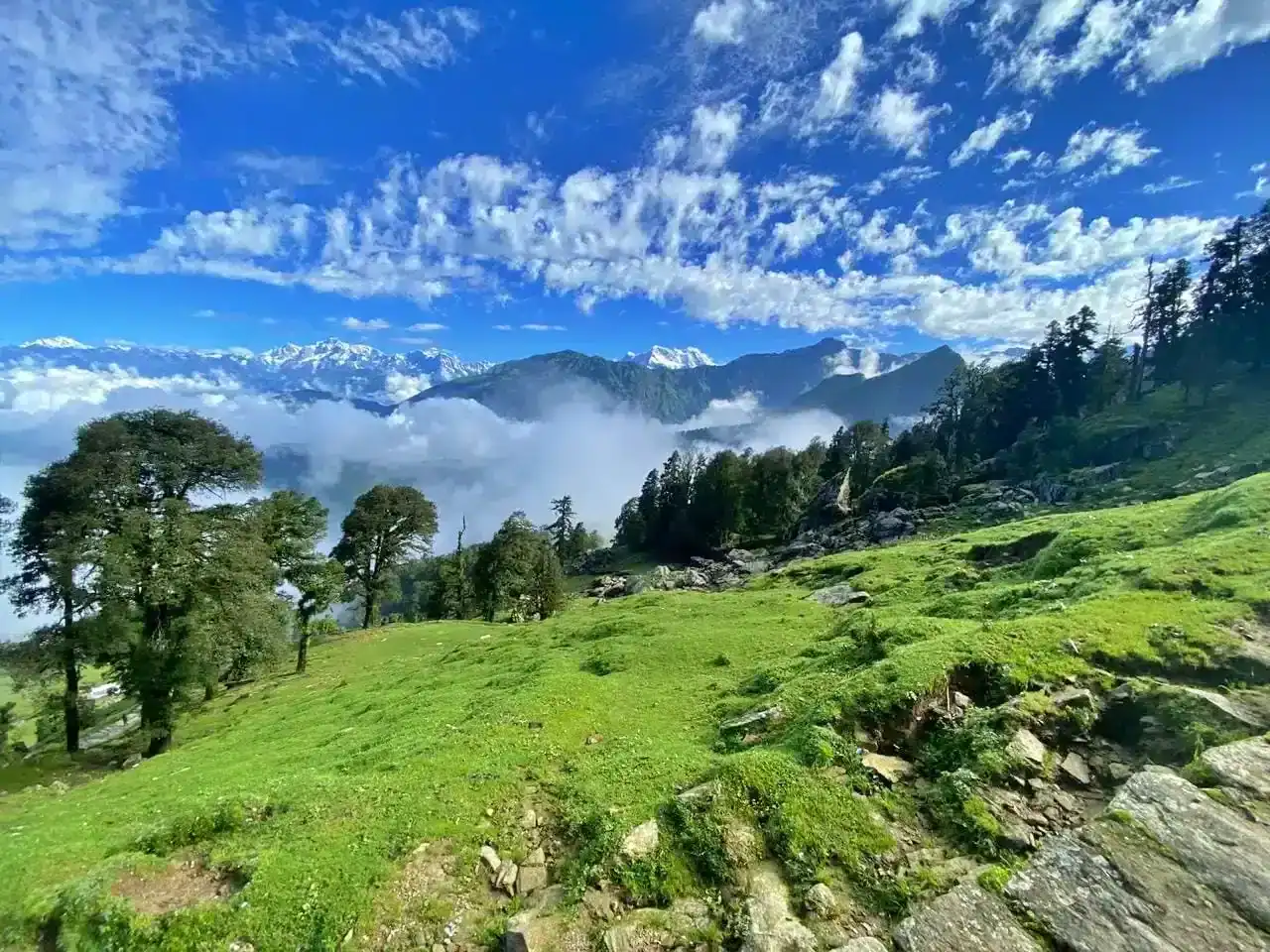 Chopta Chandrashila Tungnath Trek with Deorital
