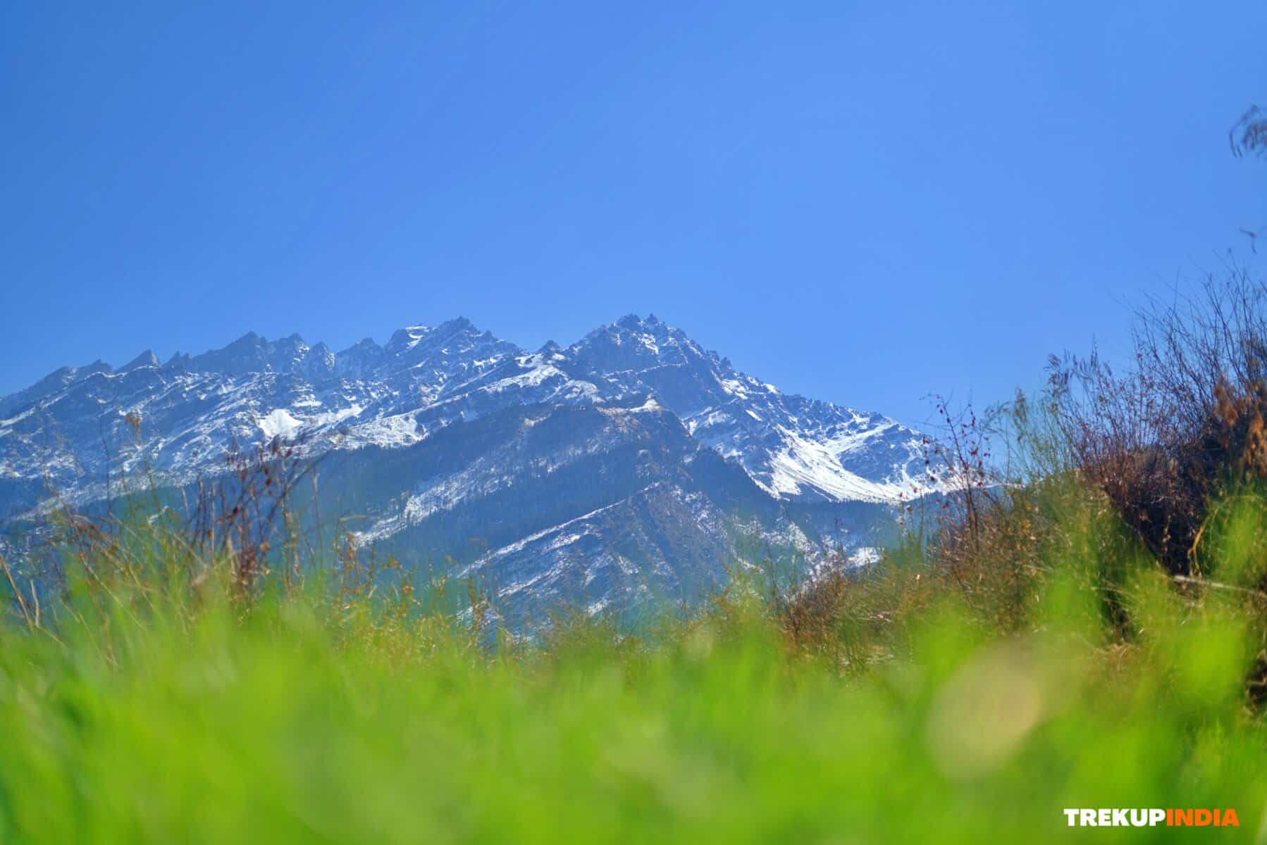 Kuari Pass Trek, pangarchulla peak trek