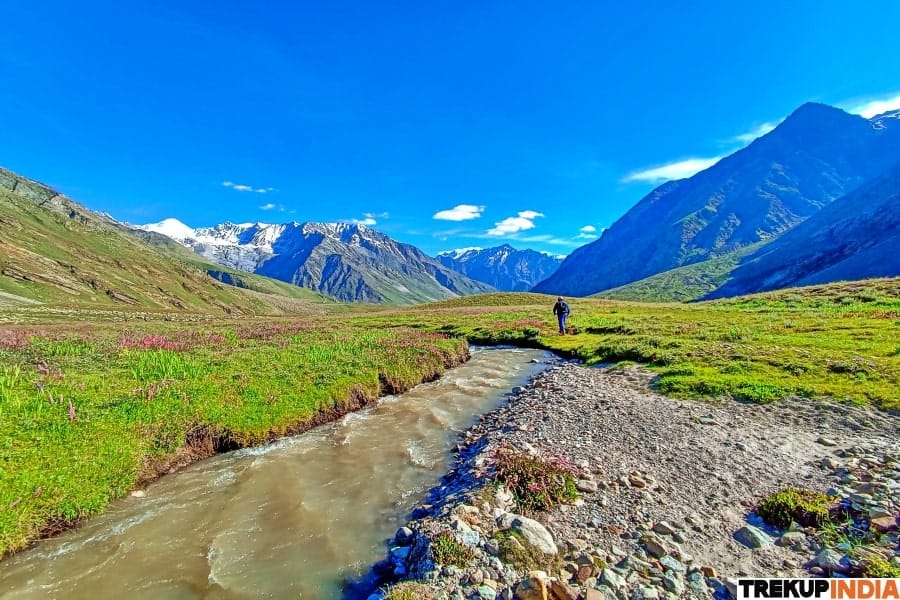 Miyar Valley Trek