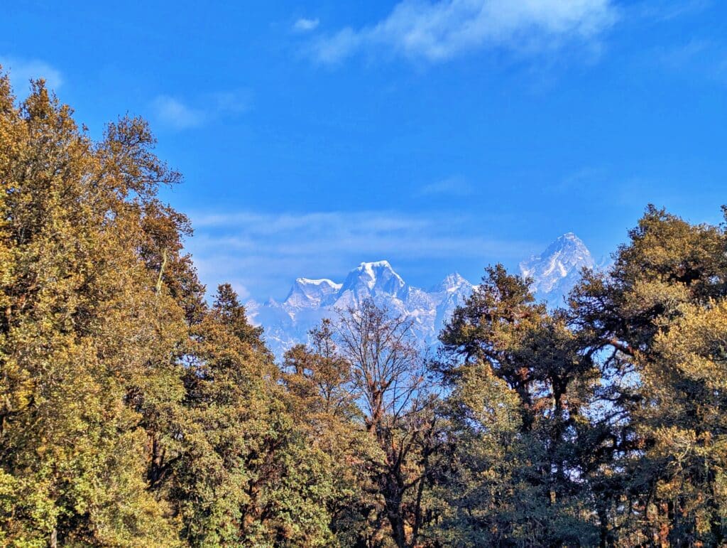 Kuari Pass Trek , pangarchulla peak trek