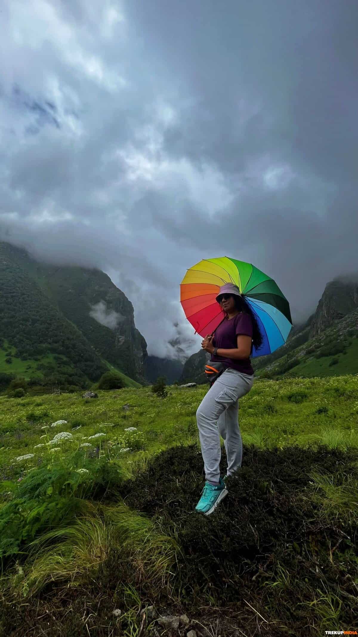 Valley Of Flowers Trek