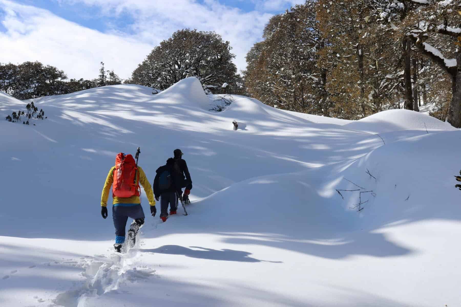 pangarchulla peak trek