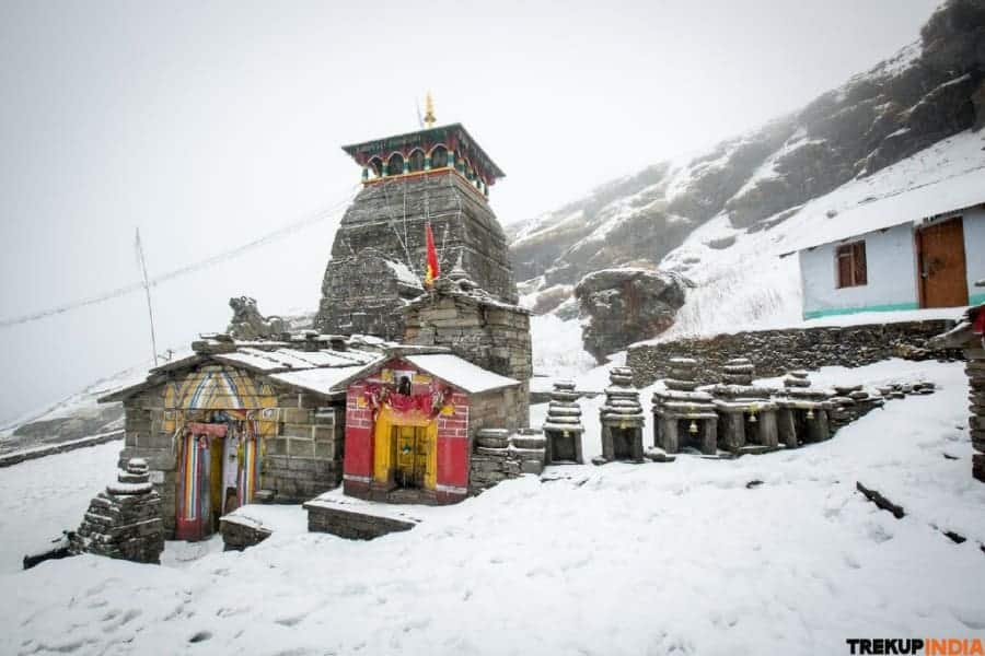 Spring in the Himalayas Deoriatal Chandrashila Trek