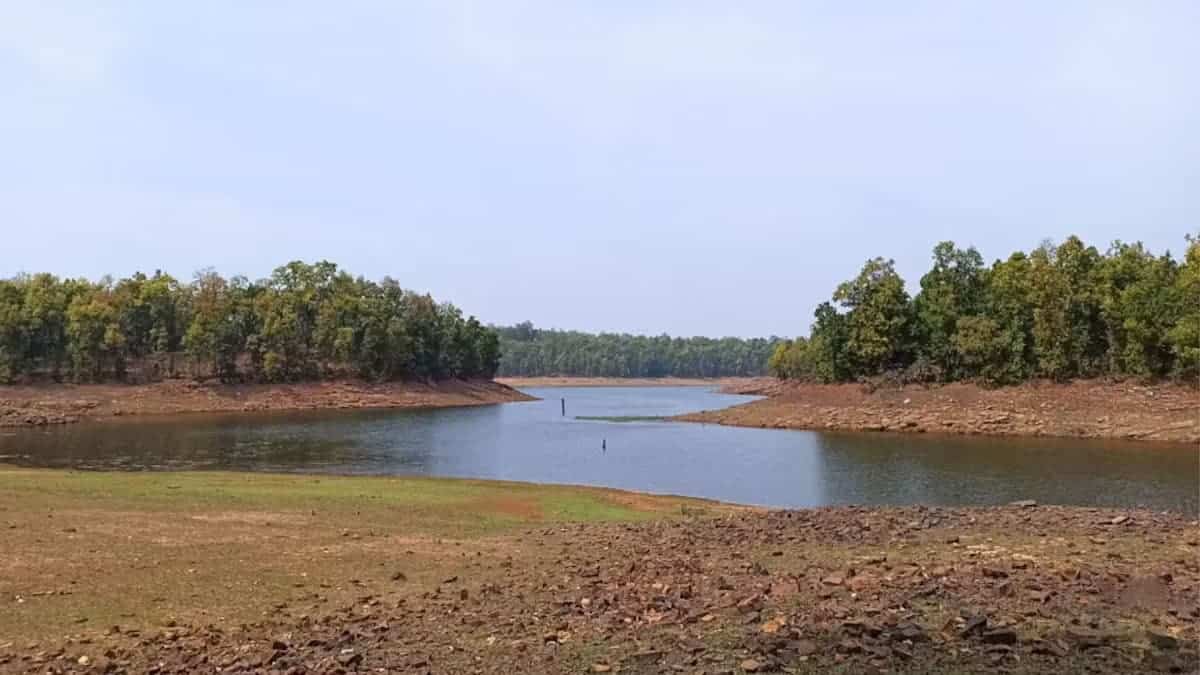 Sanjay Dubri Tiger Reserve Trek
