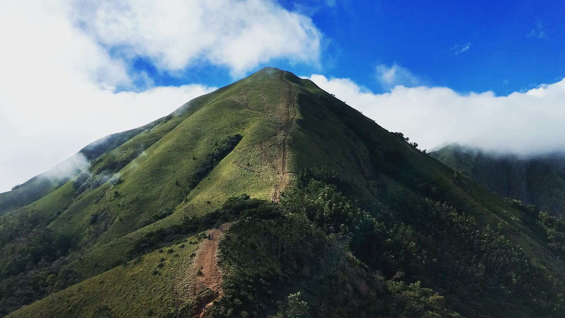 Meesapulimala Peak Trek