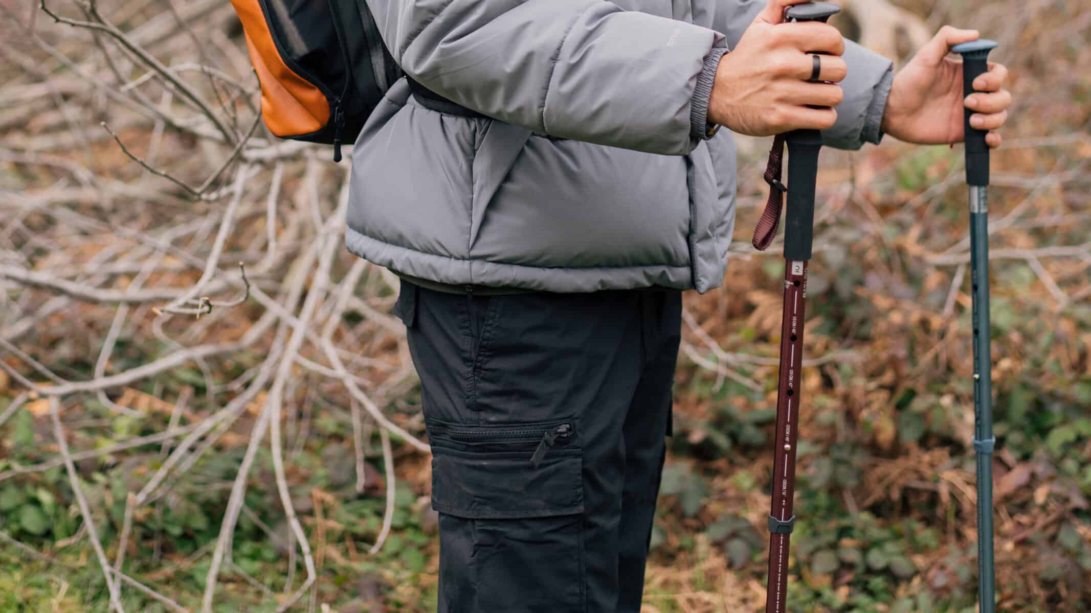 Trekking Pole