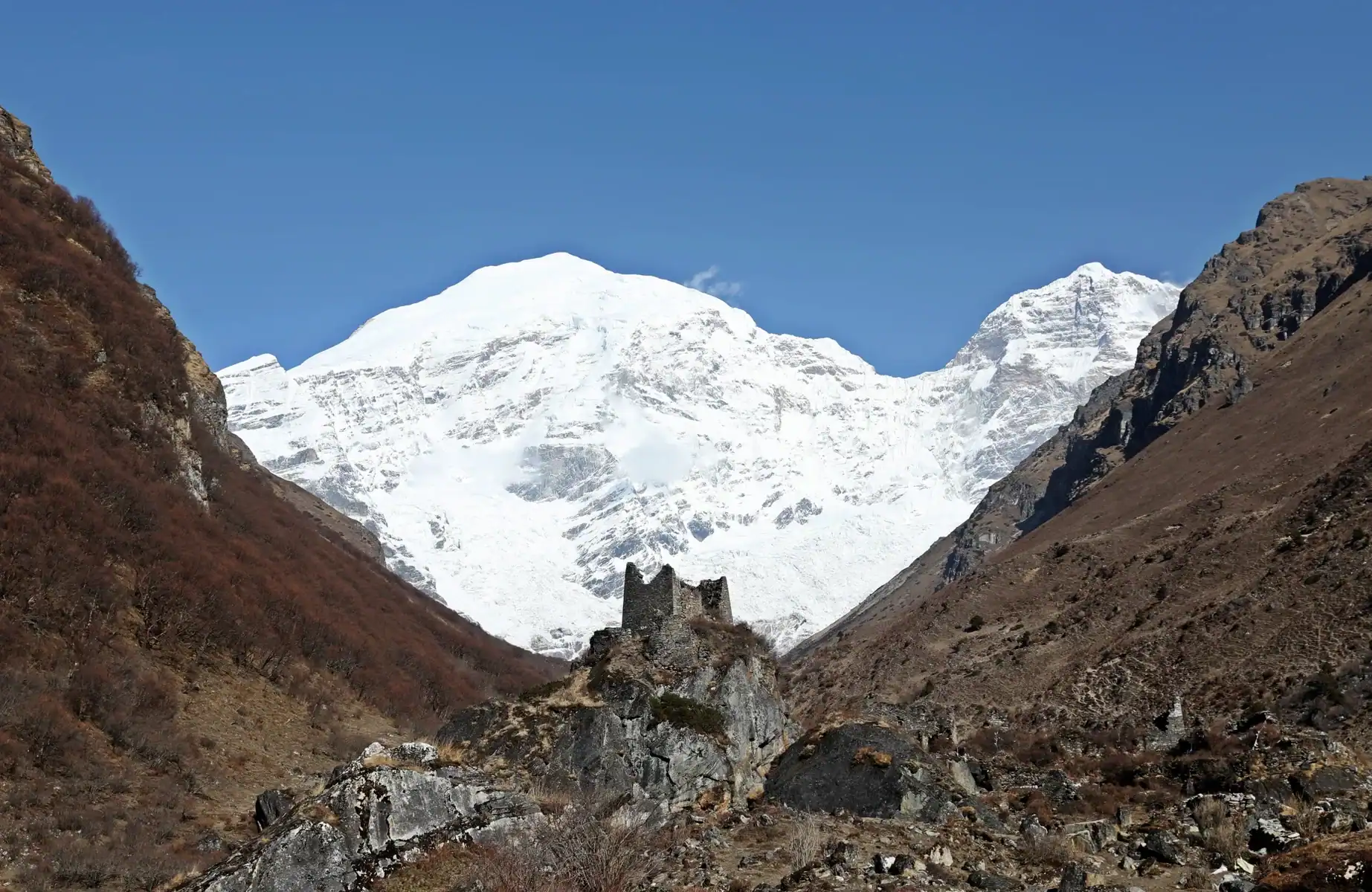 Trekpedia All Treks 4 Jomolhari Trek