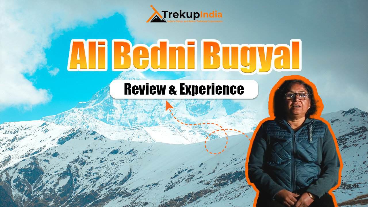 Ali Bedni Review