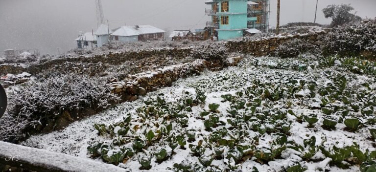 Rupin Pass Trek Jakha2